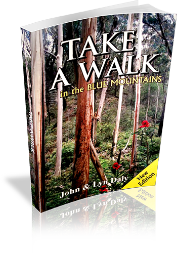 Cover of Take a walk in the Blue Mountains