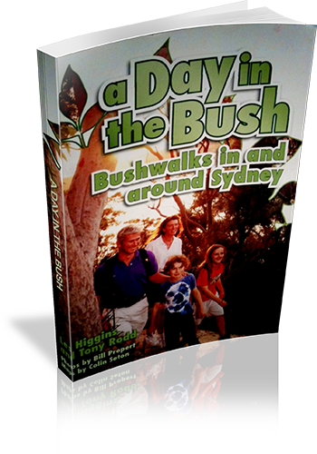 Cover of A Day in the Bush: Bushwalks in and around Sydney
